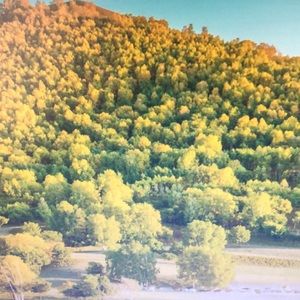 Meet your Posher, Sonny